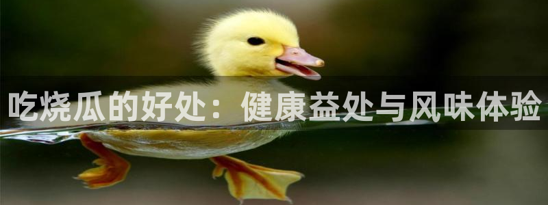 吃瓜www：吃烧瓜的好处：健康益处与风味体验
