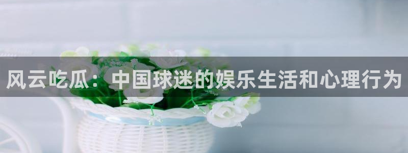 51吃瓜网 张津瑜：风云吃瓜：中国球迷的娱乐生活和心理行为