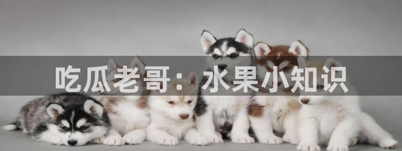 51cg吃瓜网每日吃瓜：吃瓜老哥：水果小知识