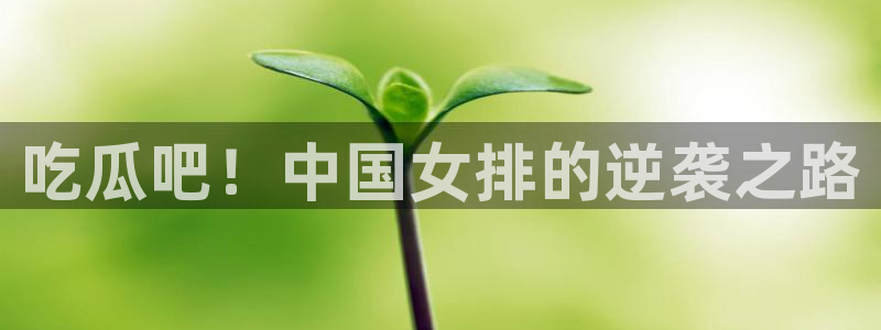 吊瓜树的瓜可以吃吗：吃瓜吧！中国女排的逆袭之路