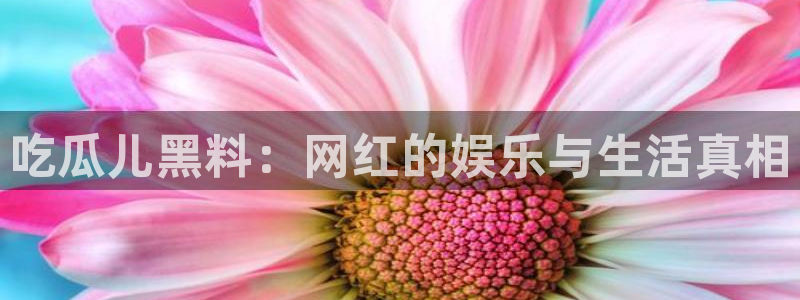 51吃瓜 张津瑜