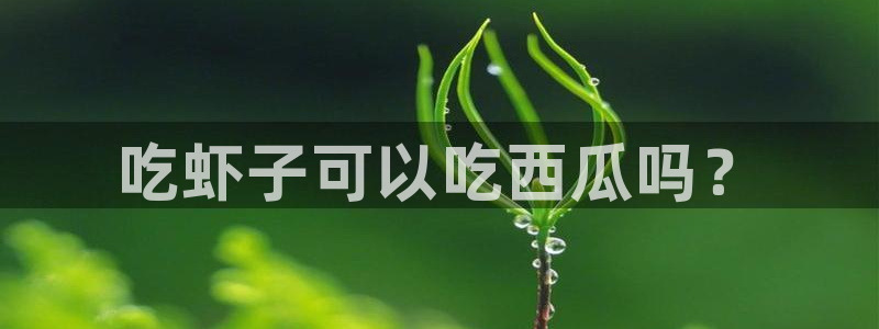 yourport吃瓜网：吃虾子可以吃西瓜吗？