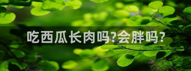 51吃瓜网热门黑料：吃西瓜长肉吗?会胖吗?