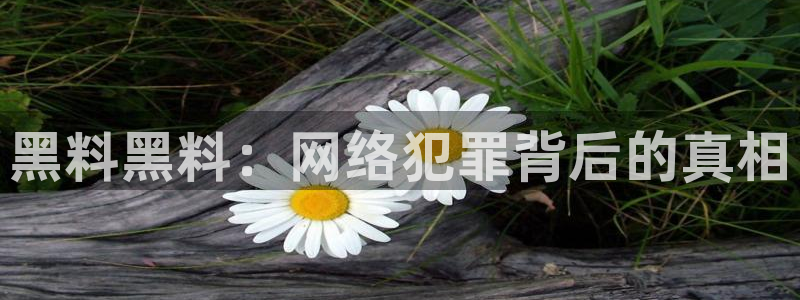 吃瓜群众中的瓜指的是：黑料黑料：网络犯罪背后的真相