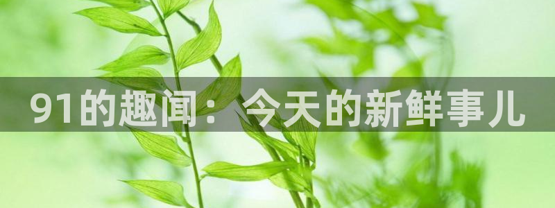 吃瓜什么意思：91的趣闻：今天的新鲜事儿
